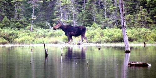 Moosehead Lake, Maine