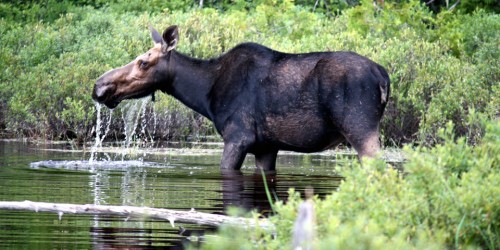 Moosehead Lake, Maine
