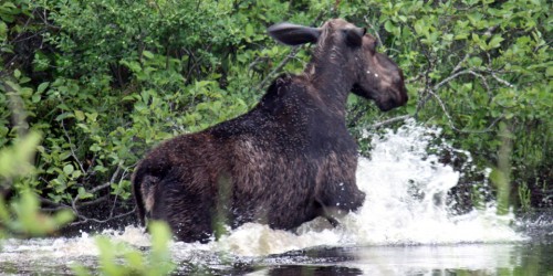 Moosehead Lake, Maine