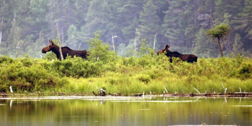 Moosehead Lake, Maine