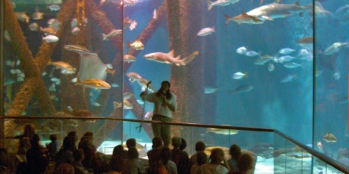 Aquarium, New Orleans, Louisiana