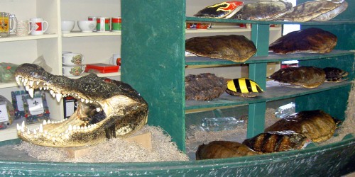 French Market, New Orleans, Louisiana