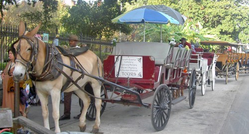 horse-drawn carriage, New Orleans, Louisiana