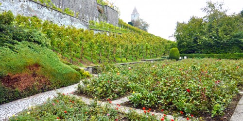rose garden, Rapperswil, Switzerland
