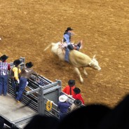 Texas Uncorked!: Thinking outside the ropes