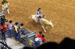 Texas Uncorked!: Thinking outside the ropes