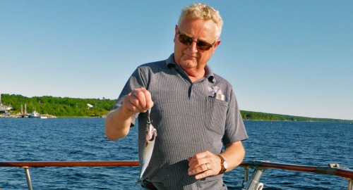 mackerel caught aboard the Brown Eyed girl, Shelburne Harbour, Nova Scotia