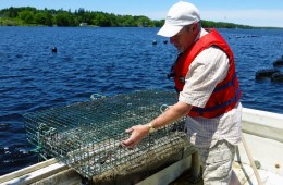 Eel Lake Oyster Farm, home of the Ruisseau oyster, Ste-Anne-du-Ruisseau, Nova Scotia
