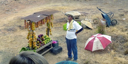 fruit and cashew stand, Costa Rica