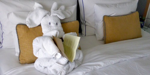 towel animal aboard the Viking Njord