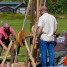 Pumpkins fly at the Vermont Pumpkin Chuckin’ Festival