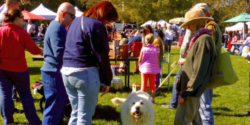 Stowe Farmers Market