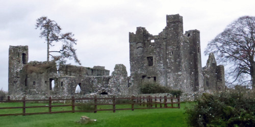 Bective Abbey, County Meath, Ireland