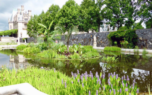 Biltmore Estate, Asheville, North Carolina