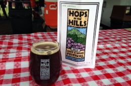 Hops in the Hills Beer & Wine Festival at Okemo Mountain Resort